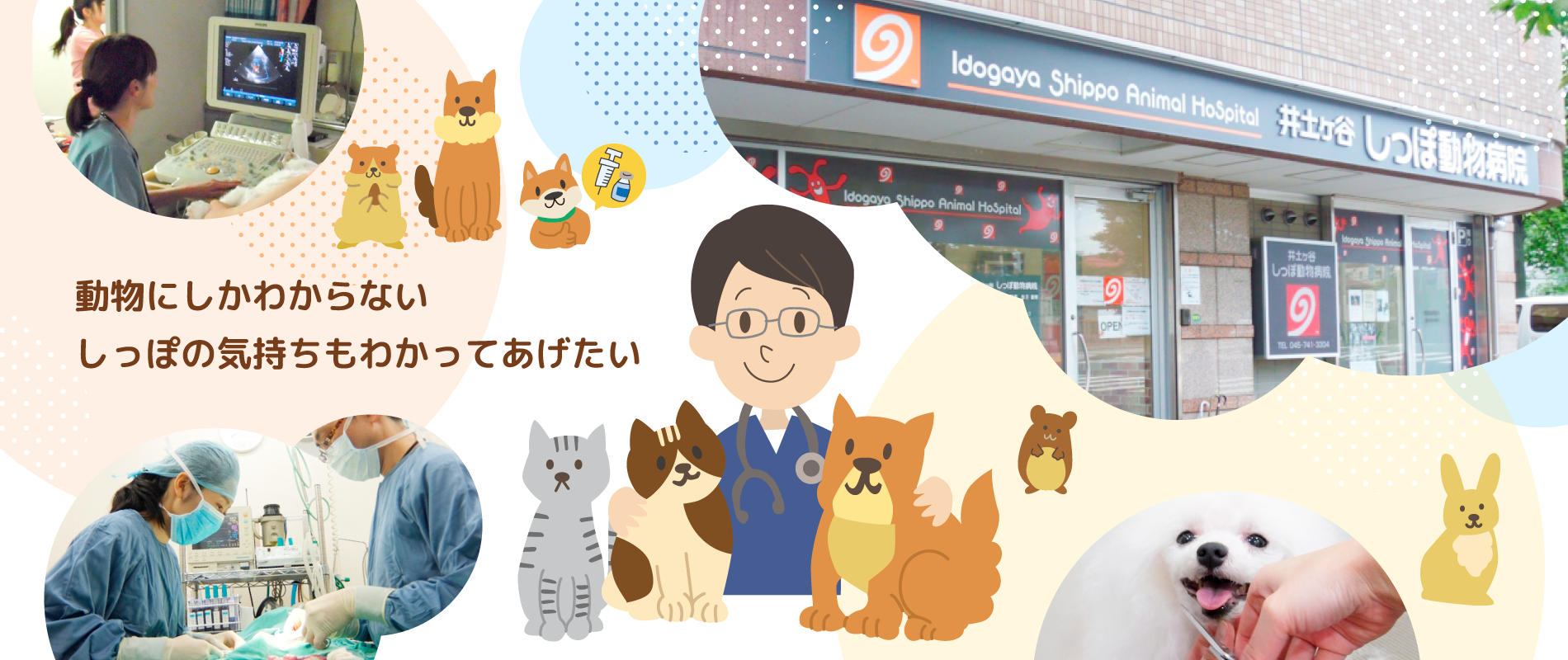 活動歴および当時の関連ビジュアル記録